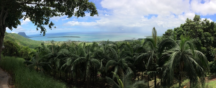 View at Chamarel