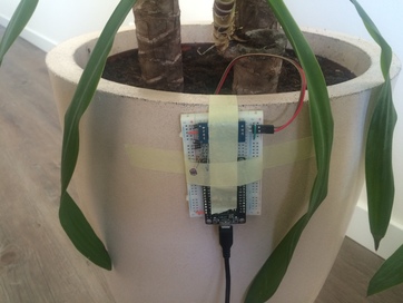 Plant meter (set up on plant)