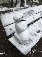 Our little snowman